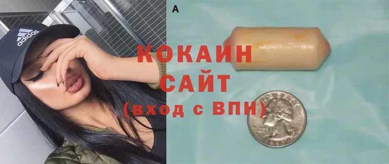 мега зеркало  даркнет сайт  Кашира  COCAIN Fish Scale 